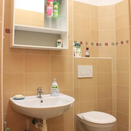 Libicka Apartmeet * 布拉格